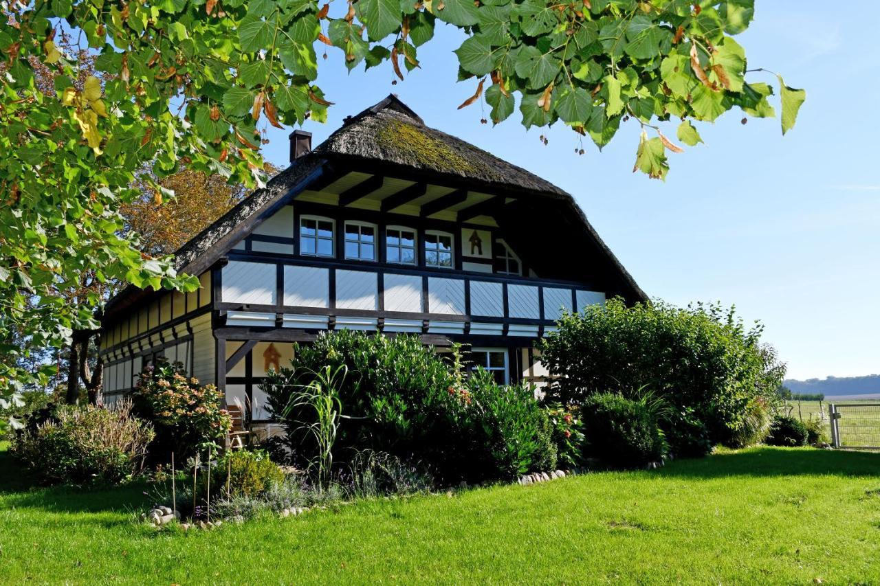 Reetdachfachwerkvilla Am Wiesengrund Bergen Auf Rugen Exterior foto