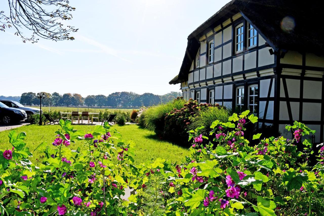 Reetdachfachwerkvilla Am Wiesengrund Bergen Auf Rugen Exterior foto